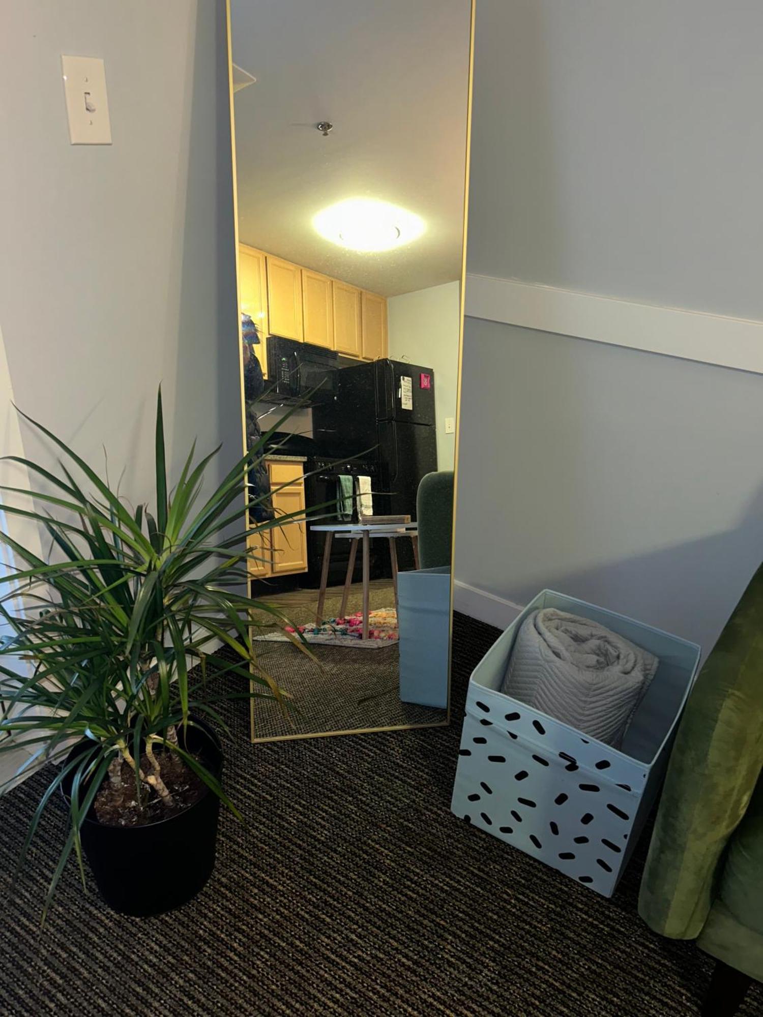 Appartamento Spooky Low Rate!! Downtown With Free Parking Indianapolis Esterno foto